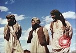 Image Avec des troupeaux nomades afghans Afghanistan, 1960, de la seconde 31 séquences d'archives historiques vidéo 65675066734