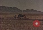 Image Avec des troupeaux nomades afghans Afghanistan, 1960, de la seconde 38 séquences d'archives historiques vidéo 65675066734