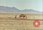 Image Avec des troupeaux nomades afghans Afghanistan, 1960, de la seconde 39 séquences d'archives historiques vidéo 65675066734
