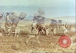 Image Avec des troupeaux nomades afghans Afghanistan, 1960, de la seconde 42 séquences d'archives historiques vidéo 65675066734