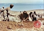 Image Avec des troupeaux nomades afghans Afghanistan, 1960, de la seconde 43 séquences d'archives historiques vidéo 65675066734