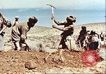 Image Avec des troupeaux nomades afghans Afghanistan, 1960, de la seconde 45 séquences d'archives historiques vidéo 65675066734