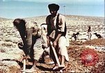 Image Avec des troupeaux nomades afghans Afghanistan, 1960, de la seconde 48 séquences d'archives historiques vidéo 65675066734