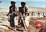 Image Avec des troupeaux nomades afghans Afghanistan, 1960, de la seconde 49 séquences d'archives historiques vidéo 65675066734