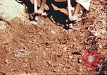 Image Avec des troupeaux nomades afghans Afghanistan, 1960, de la seconde 50 séquences d'archives historiques vidéo 65675066734
