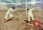 Image Avec des troupeaux nomades afghans Afghanistan, 1960, de la seconde 52 séquences d'archives historiques vidéo 65675066734