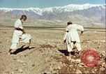 Image Avec des troupeaux nomades afghans Afghanistan, 1960, de la seconde 53 séquences d'archives historiques vidéo 65675066734