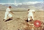 Image Avec des troupeaux nomades afghans Afghanistan, 1960, de la seconde 54 séquences d'archives historiques vidéo 65675066734