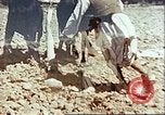 Image Avec des troupeaux nomades afghans Afghanistan, 1960, de la seconde 57 séquences d'archives historiques vidéo 65675066734