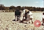 Image Avec des troupeaux nomades afghans Afghanistan, 1960, de la seconde 60 séquences d'archives historiques vidéo 65675066734
