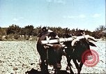 Image La modernisation de l'Afghanistan Afghanistan, 1960, de la seconde 4 séquences d'archives historiques vidéo 65675066736