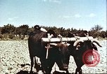 Image La modernisation de l'Afghanistan Afghanistan, 1960, de la seconde 5 séquences d'archives historiques vidéo 65675066736