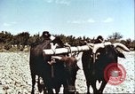 Image La modernisation de l'Afghanistan Afghanistan, 1960, de la seconde 6 séquences d'archives historiques vidéo 65675066736