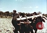 Image La modernisation de l'Afghanistan Afghanistan, 1960, de la seconde 7 séquences d'archives historiques vidéo 65675066736