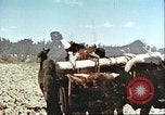 Image La modernisation de l'Afghanistan Afghanistan, 1960, de la seconde 8 séquences d'archives historiques vidéo 65675066736