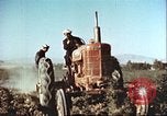 Image La modernisation de l'Afghanistan Afghanistan, 1960, de la seconde 9 séquences d'archives historiques vidéo 65675066736