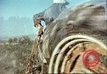 Image La modernisation de l'Afghanistan Afghanistan, 1960, de la seconde 16 séquences d'archives historiques vidéo 65675066736