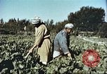 Image La modernisation de l'Afghanistan Afghanistan, 1960, de la seconde 19 séquences d'archives historiques vidéo 65675066736