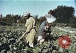 Image La modernisation de l'Afghanistan Afghanistan, 1960, de la seconde 20 séquences d'archives historiques vidéo 65675066736