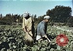 Image La modernisation de l'Afghanistan Afghanistan, 1960, de la seconde 21 séquences d'archives historiques vidéo 65675066736