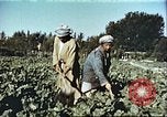 Image La modernisation de l'Afghanistan Afghanistan, 1960, de la seconde 22 séquences d'archives historiques vidéo 65675066736