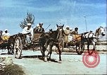 Image La modernisation de l'Afghanistan Afghanistan, 1960, de la seconde 33 séquences d'archives historiques vidéo 65675066736