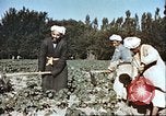 Image L'agriculture traditionnelle en Afghanistan Afghanistan, 1960, de la seconde 7 séquences d'archives historiques vidéo 65675066738