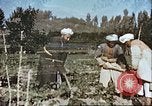 Image L'agriculture traditionnelle en Afghanistan Afghanistan, 1960, de la seconde 10 séquences d'archives historiques vidéo 65675066738
