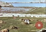 Image L'agriculture traditionnelle en Afghanistan Afghanistan, 1960, de la seconde 15 séquences d'archives historiques vidéo 65675066738