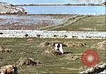 Image L'agriculture traditionnelle en Afghanistan Afghanistan, 1960, de la seconde 16 séquences d'archives historiques vidéo 65675066738