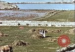 Image L'agriculture traditionnelle en Afghanistan Afghanistan, 1960, de la seconde 17 séquences d'archives historiques vidéo 65675066738