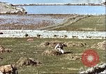 Image L'agriculture traditionnelle en Afghanistan Afghanistan, 1960, de la seconde 18 séquences d'archives historiques vidéo 65675066738