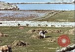 Image L'agriculture traditionnelle en Afghanistan Afghanistan, 1960, de la seconde 19 séquences d'archives historiques vidéo 65675066738