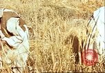 Image L'agriculture traditionnelle en Afghanistan Afghanistan, 1960, de la seconde 21 séquences d'archives historiques vidéo 65675066738