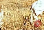 Image L'agriculture traditionnelle en Afghanistan Afghanistan, 1960, de la seconde 22 séquences d'archives historiques vidéo 65675066738