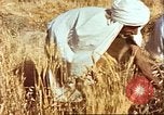 Image L'agriculture traditionnelle en Afghanistan Afghanistan, 1960, de la seconde 23 séquences d'archives historiques vidéo 65675066738