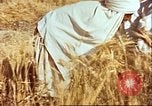 Image L'agriculture traditionnelle en Afghanistan Afghanistan, 1960, de la seconde 24 séquences d'archives historiques vidéo 65675066738
