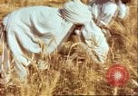 Image L'agriculture traditionnelle en Afghanistan Afghanistan, 1960, de la seconde 25 séquences d'archives historiques vidéo 65675066738