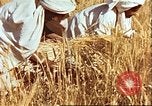 Image L'agriculture traditionnelle en Afghanistan Afghanistan, 1960, de la seconde 26 séquences d'archives historiques vidéo 65675066738