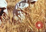 Image L'agriculture traditionnelle en Afghanistan Afghanistan, 1960, de la seconde 27 séquences d'archives historiques vidéo 65675066738