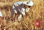 Image L'agriculture traditionnelle en Afghanistan Afghanistan, 1960, de la seconde 28 séquences d'archives historiques vidéo 65675066738