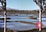 Image L'agriculture traditionnelle en Afghanistan Afghanistan, 1960, de la seconde 33 séquences d'archives historiques vidéo 65675066738