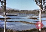 Image L'agriculture traditionnelle en Afghanistan Afghanistan, 1960, de la seconde 34 séquences d'archives historiques vidéo 65675066738
