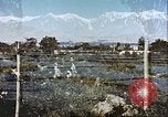 Image L'agriculture traditionnelle en Afghanistan Afghanistan, 1960, de la seconde 35 séquences d'archives historiques vidéo 65675066738