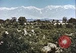 Image L'agriculture traditionnelle en Afghanistan Afghanistan, 1960, de la seconde 37 séquences d'archives historiques vidéo 65675066738
