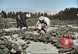 Image L'agriculture traditionnelle en Afghanistan Afghanistan, 1960, de la seconde 38 séquences d'archives historiques vidéo 65675066738