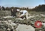 Image L'agriculture traditionnelle en Afghanistan Afghanistan, 1960, de la seconde 40 séquences d'archives historiques vidéo 65675066738