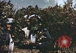 Image L'agriculture traditionnelle en Afghanistan Afghanistan, 1960, de la seconde 45 séquences d'archives historiques vidéo 65675066738