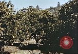 Image L'agriculture traditionnelle en Afghanistan Afghanistan, 1960, de la seconde 46 séquences d'archives historiques vidéo 65675066738