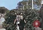 Image L'agriculture traditionnelle en Afghanistan Afghanistan, 1960, de la seconde 53 séquences d'archives historiques vidéo 65675066738